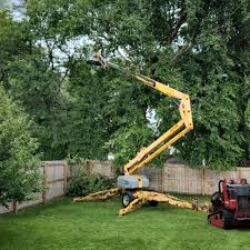 Landscape Design and Installation in Bon Air, VA